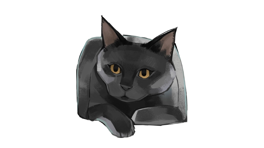 how to draw a black cat from a reference photo using a pen tablet