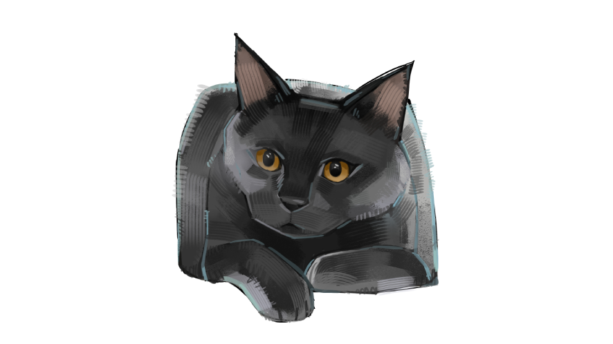 how to draw a black cat from a reference photo using a pen tablet
