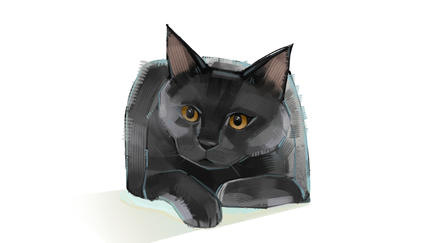 how to draw a black cat from a reference photo using a pen tablet