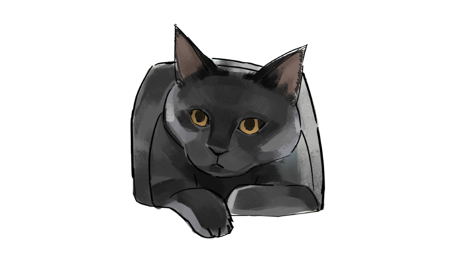 black cat drawing from a reference photo using a pen tablet
