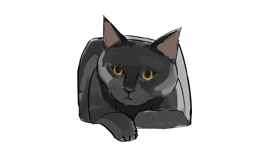 how to draw a black cat from a reference photo using a pen tablet