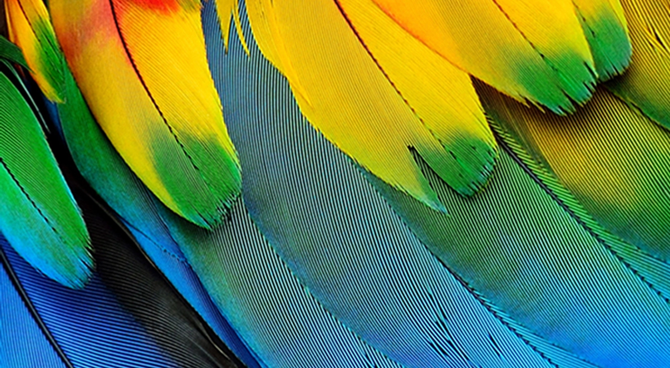 Xencelabs Pen Display 16Lite