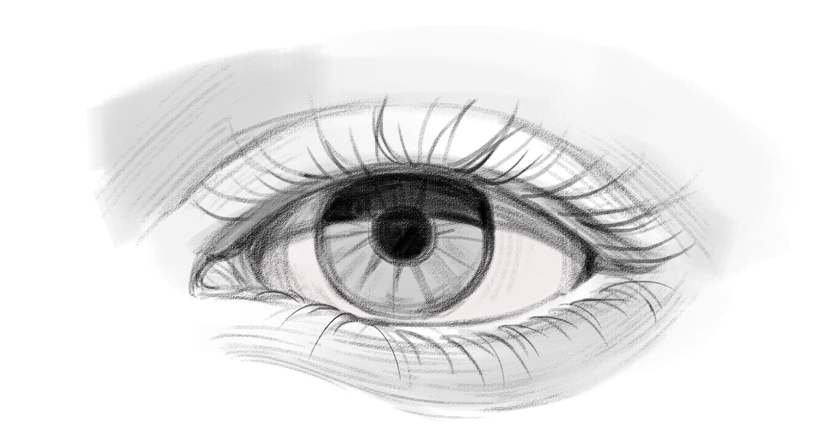 eyes