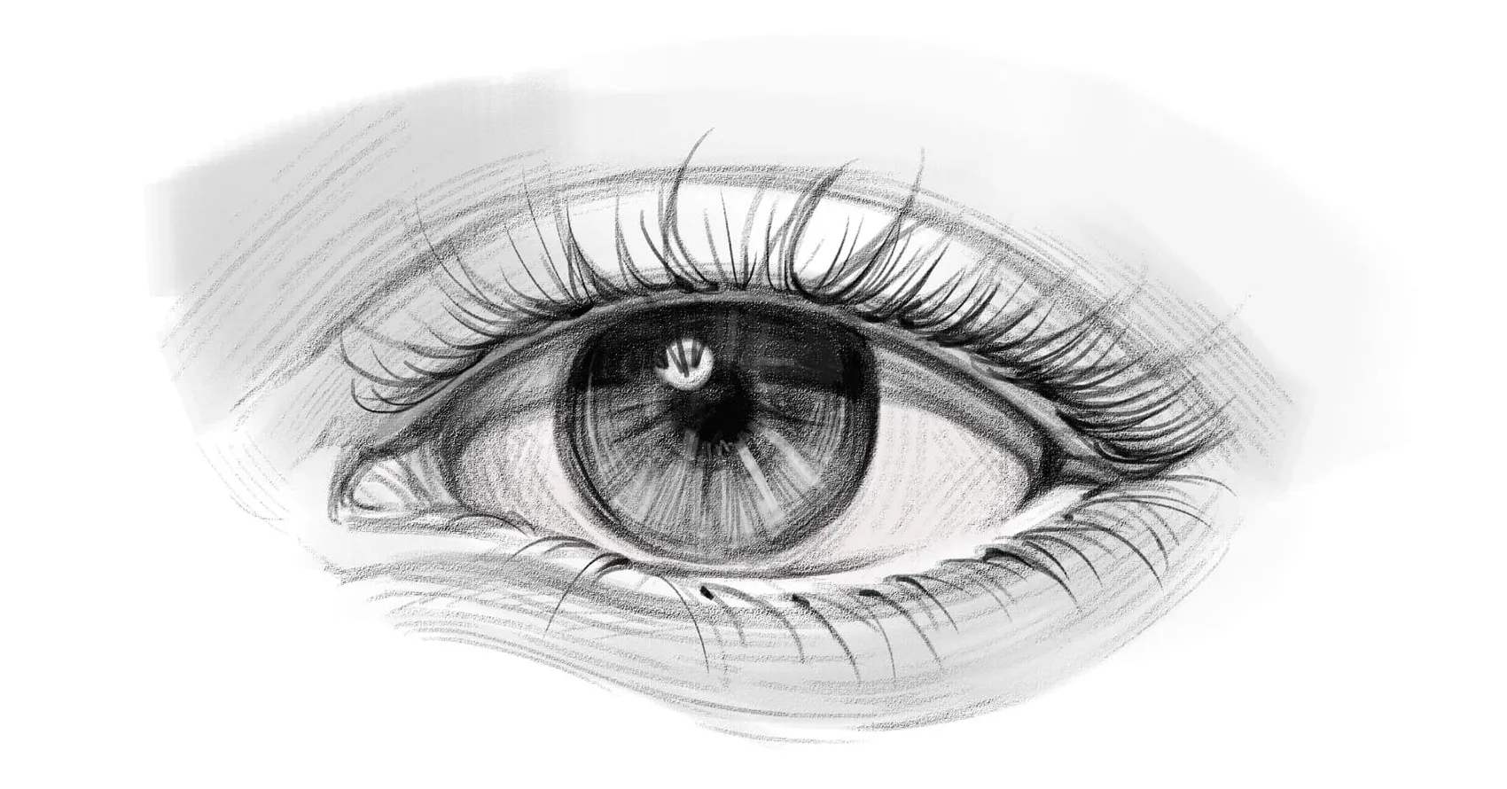 Realistic Human Eye Drawing Realistic Human Eye Drawing