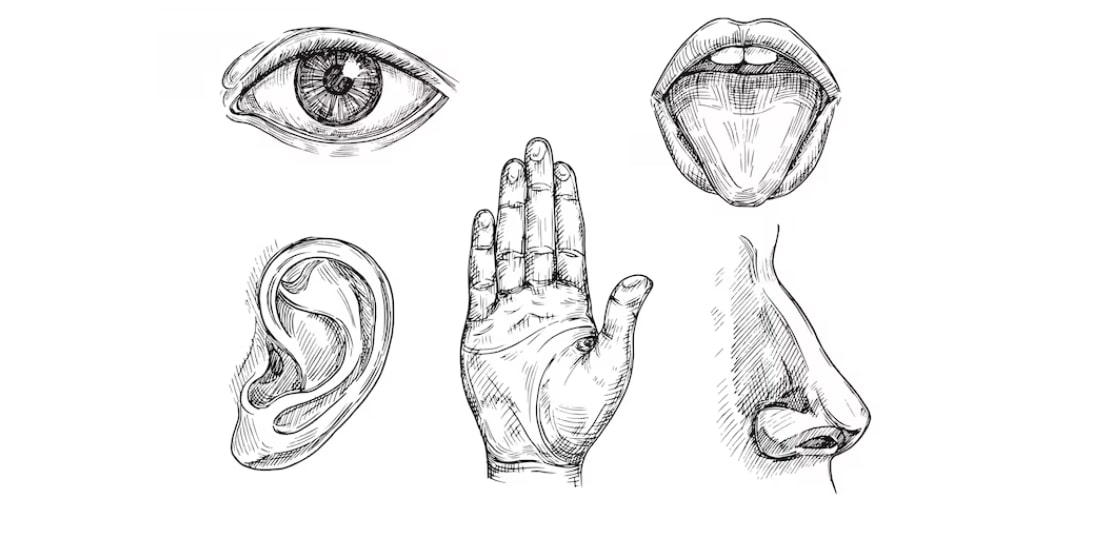 facial-skeches